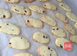 Mustard Illustration of how to make chocolate cookies 7