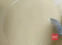 Yoghurt Egg Pancake Recipe Illustration 3