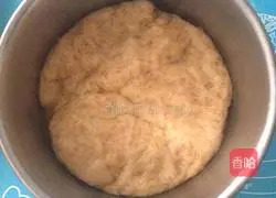 Illustration of homemade Hericium biscuits 2