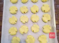 Margarita Biscuits Recipe Illustration 11