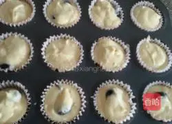 Blueberry cupcake.Recipe 8