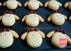 Shaun the Sheep Cookie Recipe Illustration 12