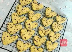 Cranberry Cookies Illustration 10