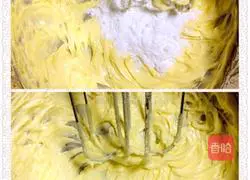 Illustration of how to make sunflower black tea cookies 3