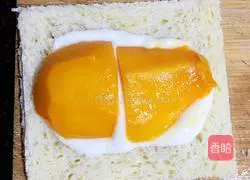 Mango yogurt spit Illustration of the company’s approach 4