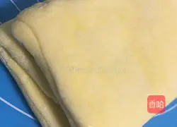 Portuguese Egg Tart Crust Illustration 11