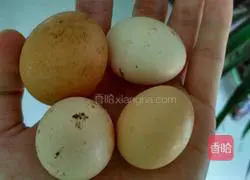 Illustration of homemade egg tarts 3