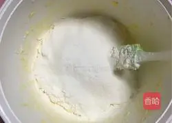 Illustration of how to make kiwi biscuits 4