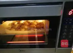 Cranberry scone recipe 10