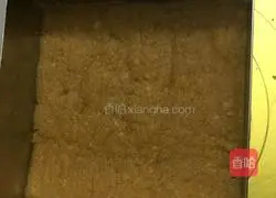 Blueberry Cheese Recipe Illustration 7