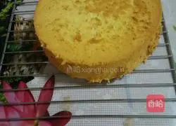 Illustration of how to make chiffon cake 12
