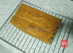 Leopard print Illustration of making toast 21