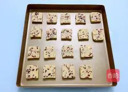 Cranberry Illustration of how to make cookies 14