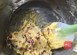 Cranberry Cookie Recipe Illustration 7