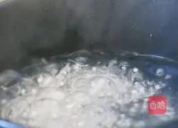 Mango Sago Mousse Recipe Illustration 9