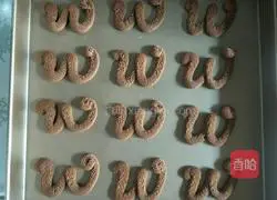 Cocoa Viennese Cookie Recipe Illustration 9