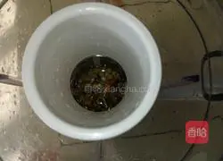 Illustration of how to make walnut soy milk 4