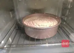 Zebra pattern chiffon cake recipe 18