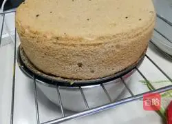 Cocoa Flavored Chiffon Cake Illustration 21