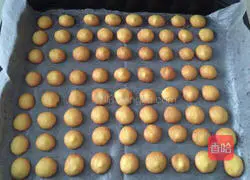 Egg yolk biscuits recipe 7