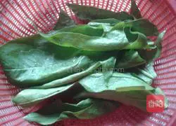 Spinach chiffon cake recipe 1