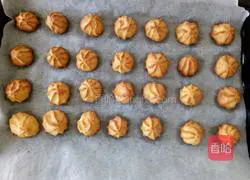 Cream Puff Recipe Illustration 10