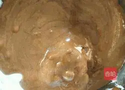 Cocoa Chiffon Recipe Illustration 11