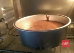 Cocoa Chiffon Cake Recipe Illustration 7