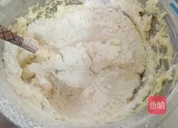 Coconut Cookies Recipe Illustration 9