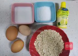 Cranberry Oatmeal Chiffon Cake (no oil, no flour, less sugar) Recipe Illustration 1