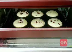 Illustration of how to make cheese and dried fruit cup cake 15