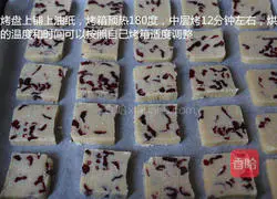 Cranberry Cookie Recipe Illustration 13
