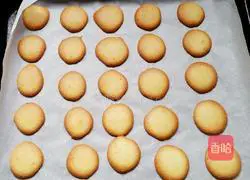Egg yolk biscuits recipe 15