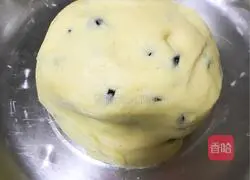 Blueberry Cookie Recipe Illustration 6