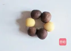 Illustration of how to make three-color cookies 12