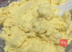 Lemon Cranberry Cookie Recipe Illustration 6