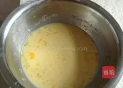 Baked Egg Tarts Illustration 5