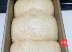 Illustration of how to make raisin whole wheat toast 6