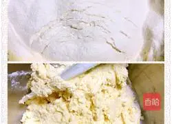 Illustration of how to make sunflower black tea cookies 6