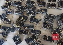 Sesame Walnut Candy Recipe Illustration 9