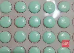 Illustration of how to make macarons 9