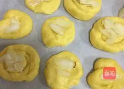 Almond Cookie Recipe Illustration 7