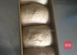 Whole wheat cranberry toast recipe 8