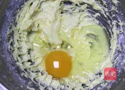 Spring Color~You Have a Story and I Have Flowers Illustrations 3