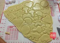 Illustrations of how to make cute biscuits 9