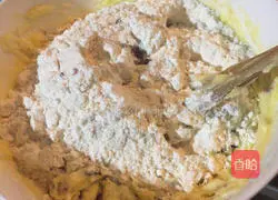 Cranberry Cookies - Illustration of Beginner's Starter Work 5