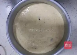 Cranberry Oatmeal Chiffon Cake (oil-free No flour, less sugar) Recipe Illustration 13