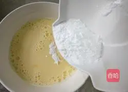 Portuguese papaya egg tart recipe 4