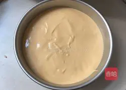 Carrot juice chiffon cake recipe 10