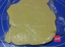 Homemade Mango Tart Crust Egg tart recipe 4